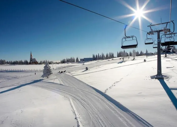 Apartma Ajdovka Rogla