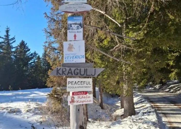 Апартаменты Apartma Ajdovka *