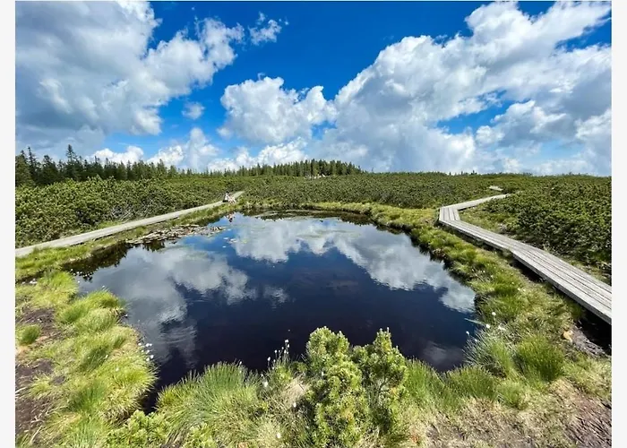 Апартаменты Apartma Ajdovka *