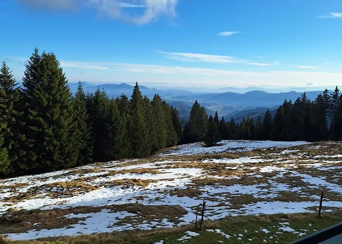 Апартаменты Apartma Ajdovka